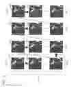 Fig. 18 - Image processing apparatus and method