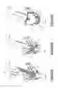 Fig. 04 - Optical branching device