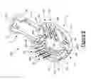 Fig. 07 - Optical branching device
