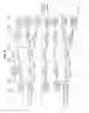 Fig. 10 - METHOD AND APPARATUS FOR TRANSMITTING PACKET DATA OVER OPTICAL TRANSPORT NETWORK