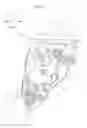 Fig. 04 - Process unit and image-forming device using process unit