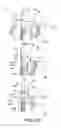 Fig. 15 - Process cartridge and electrophotographic image forming apparatus