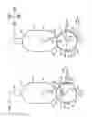 Fig. 15 - Image forming apparatus and developing agent cartridge