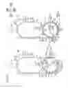 Fig. 18 - Image forming apparatus and developing agent cartridge