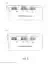 Fig. 06 - Image forming apparatus having color and transparent developing devices