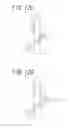 Fig. 14 - Developing device and image forming apparatus