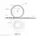 Fig. 03 - Fluoroelastomer nanocomposites comprising CNT inorganic nano-fillers