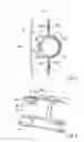 Fig. 05 - Structure for attaching mounting member to door impact beam