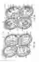 Fig. 05 - Diaphragm pump and motor system and method