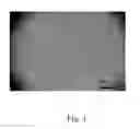 Fig. 02 - Method for sterilizing biological materials