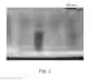Fig. 03 - Method for sterilizing biological materials