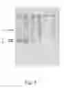 Fig. 04 - Method for sterilizing biological materials