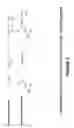 Fig. 03 - Vinylepoxide-amine acid gas adsorption-desorption polymers and oligomers, processes for preparing same, and uses thereof