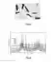 Fig. 04 - Method for preparing rare earth fluoride nanoparticles