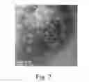 Fig. 03 - Organic dispersion of inorganic nano-platelets and method for forming the same