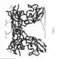Fig. 04 - Immuno-conjugates and methods for producing them