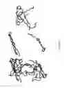 Fig. 05 - Immuno-conjugates and methods for producing them