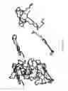 Fig. 10 - Immuno-conjugates and methods for producing them