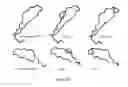 Fig. 11 - Immuno-conjugates and methods for producing them