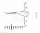 Fig. 16 - Immuno-conjugates and methods for producing them