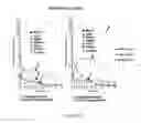 Fig. 37 - Immuno-conjugates and methods for producing them