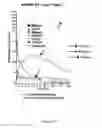 Fig. 43 - Immuno-conjugates and methods for producing them