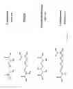 Fig. 25 - Compositions and methods comprising phosphatidylethanolamine-binding peptide derivatives