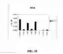 Fig. 38 - Compositions and methods comprising phosphatidylethanolamine-binding peptide derivatives