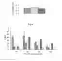 Fig. 07 - Nano-sized particles comprising multi-headed amphiphiles for targeted drug delivery