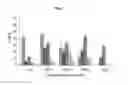 Fig. 08 - Nano-sized particles comprising multi-headed amphiphiles for targeted drug delivery