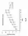 Fig. 09 - Methods of diagnosing, preventing and treating cancer metastasis