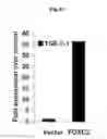 Fig. 21 - Methods of diagnosing, preventing and treating cancer metastasis