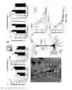 Fig. 06 - PREDICTIVE ASSAYS FOR CELL TRANSPLANTATION EFFICACY AND METHODS OF USING HUMAN NEUROPOTENTIATING CELLS