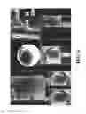 Fig. 07 - IMAGING OF BIOLOGICAL TISSUE UTILIZING NANOPARTICLES
