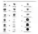 Fig. 06 - ANTHOCYANIN PIGMENT/DYE COMPOSITIONS AND SOLUTIONS THROUGH CORN EXTRACTION