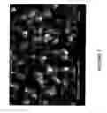 Fig. 02 - TEMPERATURE SENSITIVE HYDROGEL AND BLOCK COPOLYMERS