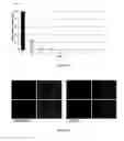 Fig. 02 - Composition and Methods of Treating Viral Infections and Viral Induced Tumors