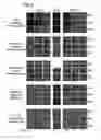 Fig. 04 - VIRUS STRAINS