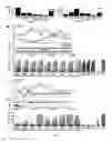 Fig. 02 - DIFFERENTIALLY METHYLATED REGIONS OF REPROGRAMMED INDUCED PLURIPOTENT STEM CELLS, METHOD AND COMPOSITIONS THEREOF