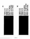 Fig. 20 - DIFFERENTIALLY METHYLATED REGIONS OF REPROGRAMMED INDUCED PLURIPOTENT STEM CELLS, METHOD AND COMPOSITIONS THEREOF