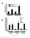 Fig. 25 - DIFFERENTIALLY METHYLATED REGIONS OF REPROGRAMMED INDUCED PLURIPOTENT STEM CELLS, METHOD AND COMPOSITIONS THEREOF