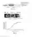Fig. 02 - METHODS OF GENERATING HUMAN CARDIAC CELLS AND TISSUES AND USES THEREOF