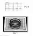 Fig. 06 - METHODS OF GENERATING HUMAN CARDIAC CELLS AND TISSUES AND USES THEREOF