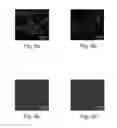 Fig. 07 - METHODS OF GENERATING HUMAN CARDIAC CELLS AND TISSUES AND USES THEREOF