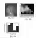 Fig. 09 - METHODS OF GENERATING HUMAN CARDIAC CELLS AND TISSUES AND USES THEREOF