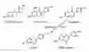 Fig. 01 - Phytoestrogenic formulations for alleviation or prevention of neurodegenerative diseases