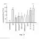 Fig. 04 - Phytoestrogenic formulations for alleviation or prevention of neurodegenerative diseases