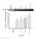 Fig. 07 - Phytoestrogenic formulations for alleviation or prevention of neurodegenerative diseases