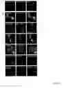 Fig. 04 - MEANS AND METHODS FOR COUNTERACTING POLYQ EXPANSION DISORDERS