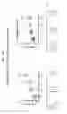 Fig. 69 - Compositions comprising natriuretic peptides and methods of use thereof